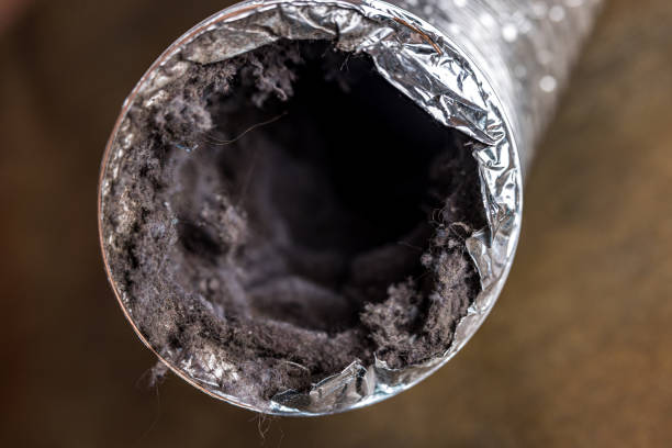 Best HVAC Duct Inspection Services  in Rosemead, CA